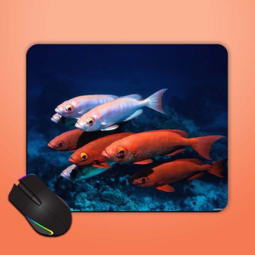 Lezy Fish Illustration Mouse Pad Chachhi