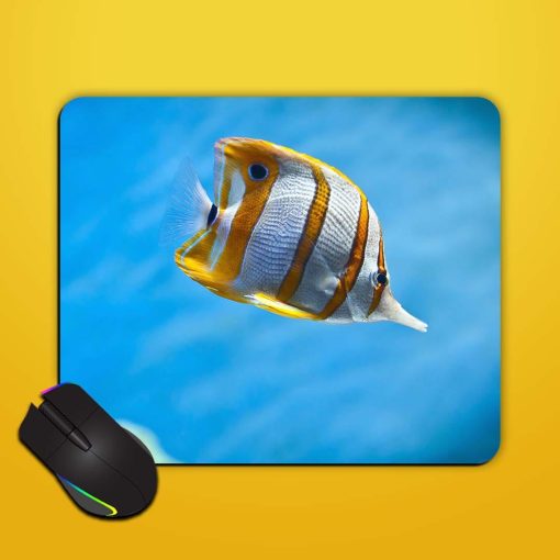 Fish Wallpaper Mouse Pad Chachhi