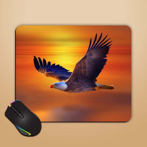 Silent Egal Flying Mouse Pad Chachhi