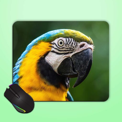 Parrot Mouse Pad Chachhi