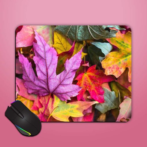 Colorful Leaf Mouse Pad Chachhi