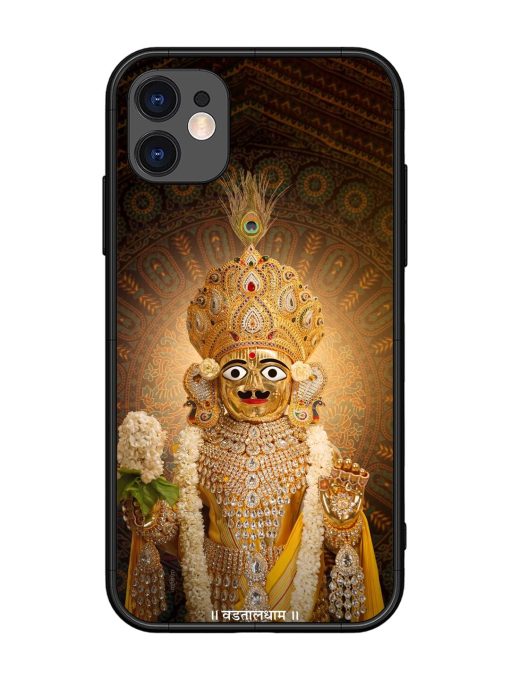 Hare Krishna Maharaj Glossy Soft Edge Case for Apple Iphone 11 Chachhi