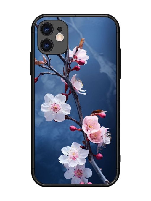 Delicate Blossoms Glossy Soft Edge Case for Apple Iphone 11 Chachhi