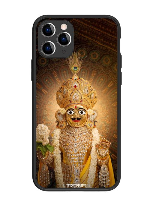 Hare Krishna Maharaj Glossy Soft Edge Case for Apple Iphone 11 Pro Chachhi