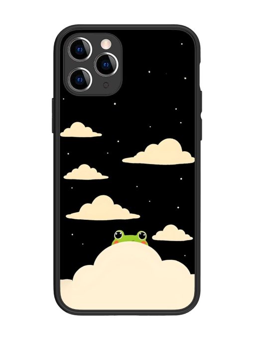 Froggy Night Sky Glossy Soft Edge Case for Apple Iphone 11 Pro Chachhi