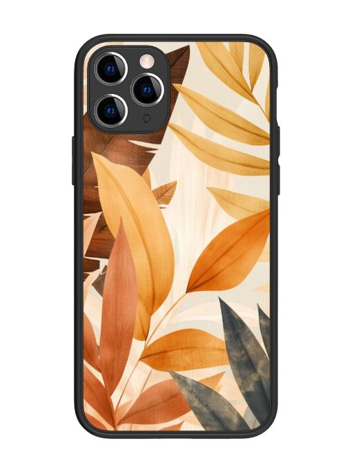 Earthy Elegance Glossy Soft Edge Case for Apple Iphone 11 Pro Chachhi