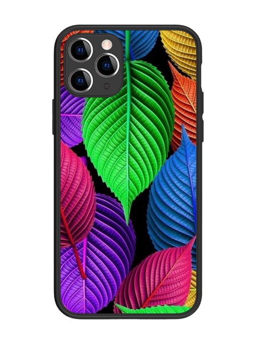 Rainbow Leaf Symphony Glossy Soft Edge Case for Apple Iphone 11 Pro Chachhi