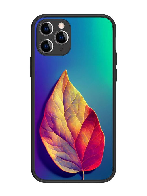 Autumn'S Embrace Glossy Soft Edge Case for Apple Iphone 11 Pro Chachhi