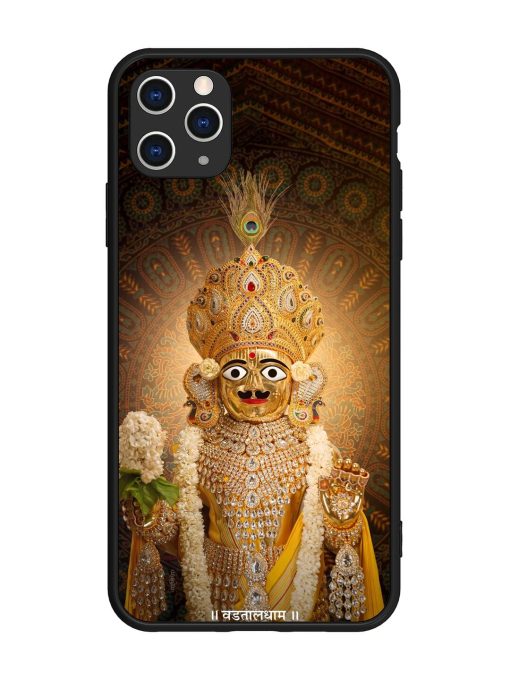 Hare Krishna Maharaj Glossy Soft Edge Case for Apple Iphone 11 Pro Max