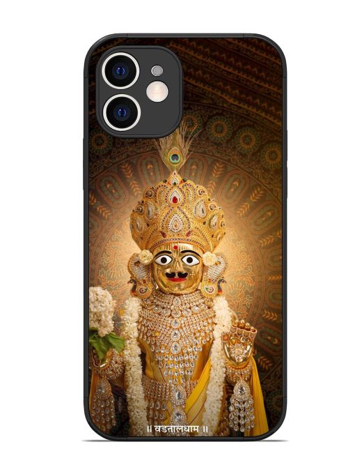 Hare Krishna Maharaj Glossy Soft Edge Case for Apple Iphone 12 Chachhi