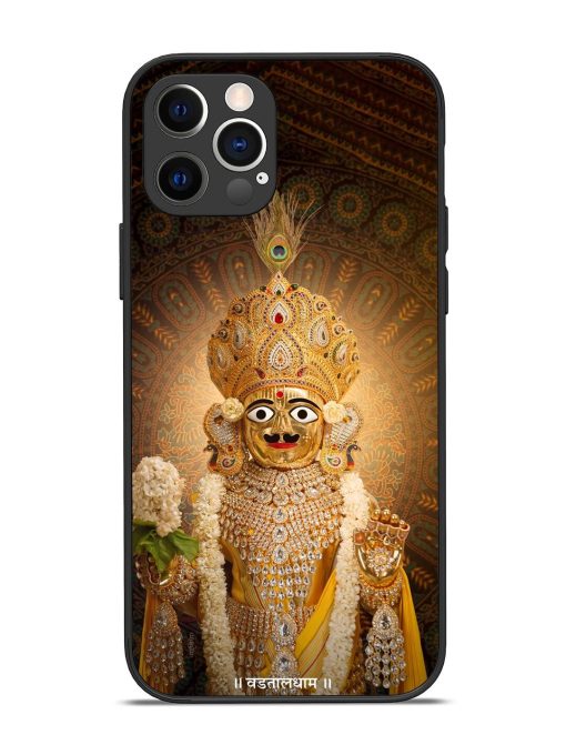 Hare Krishna Maharaj Glossy Soft Edge Case for Apple Iphone 12 Pro Chachhi