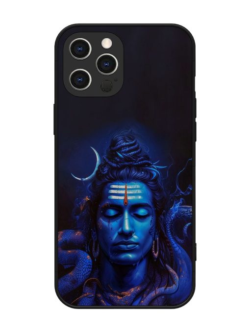 Mystic Mahadev Glossy Soft Edge Case for Apple Iphone 12 Pro Max Chachhi