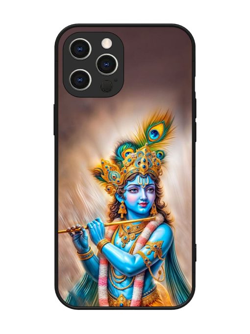 Divine Krishna Glossy Soft Edge Case for Apple Iphone 12 Pro Max Chachhi