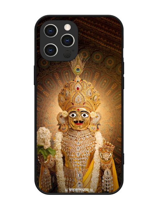 Hare Krishna Maharaj Glossy Soft Edge Case for Apple Iphone 12 Pro Max Chachhi