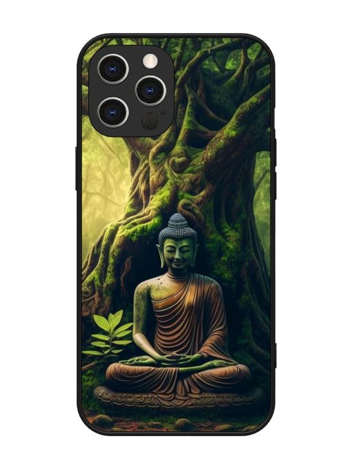 Green Buddha Art Glossy Soft Edge Case for Apple Iphone 12 Pro Max Chachhi