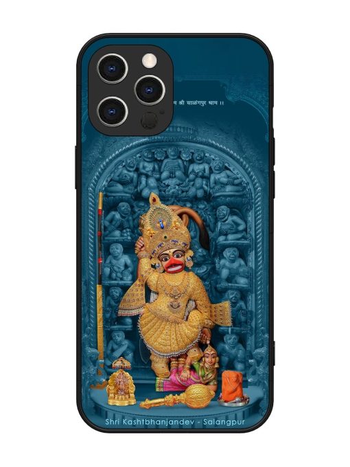 Divine Grace Of Shri Kashtabhanjandev Glossy Soft Edge Case for Apple Iphone 12 Pro Max