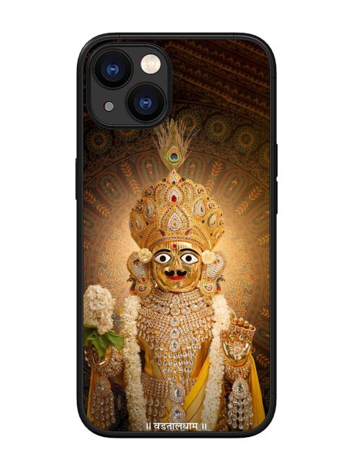 Hare Krishna Maharaj Glossy Soft Edge Case for Apple Iphone 13