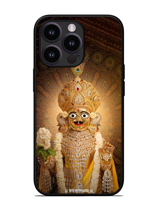 Hare Krishna Maharaj Glossy Soft Edge Case for Apple Iphone 13 Pro