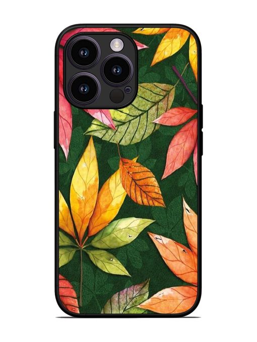 Autumn'S Embrace Glossy Soft Edge Case for Apple Iphone 13 Pro