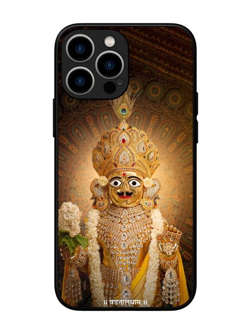 Hare Krishna Maharaj Glossy Soft Edge Case for Apple Iphone 13 Pro Max Chachhi