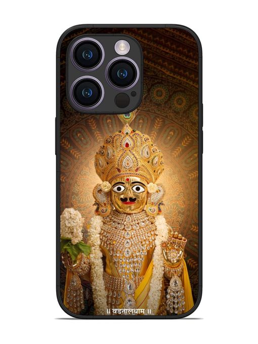 Hare Krishna Maharaj Glossy Soft Edge Case for Apple Iphone 14 Pro Chachhi