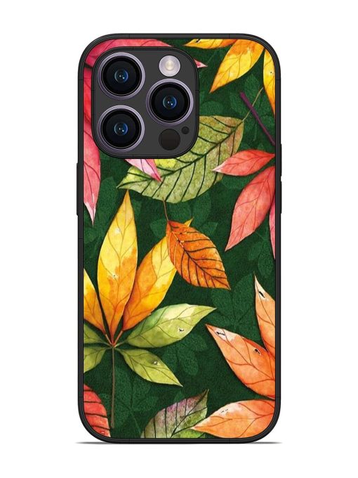 Autumn'S Embrace Glossy Soft Edge Case for Apple Iphone 14 Pro Chachhi