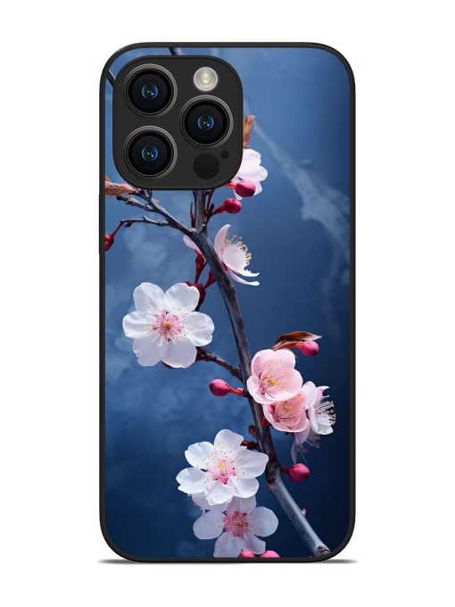 Delicate Blossoms Glossy Soft Edge Case for Apple Iphone 14 Pro Max Chachhi