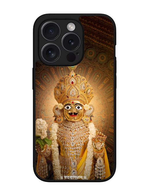 Hare Krishna Maharaj Glossy Soft Edge Case for Apple Iphone 15 Pro Chachhi