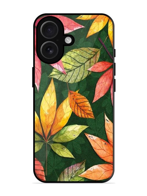 Autumn'S Embrace Glossy Soft Edge Case for Apple Iphone 16 Chachhi