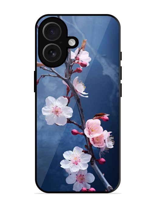 Delicate Blossoms Glossy Soft Edge Case for Apple Iphone 16 Plus Chachhi