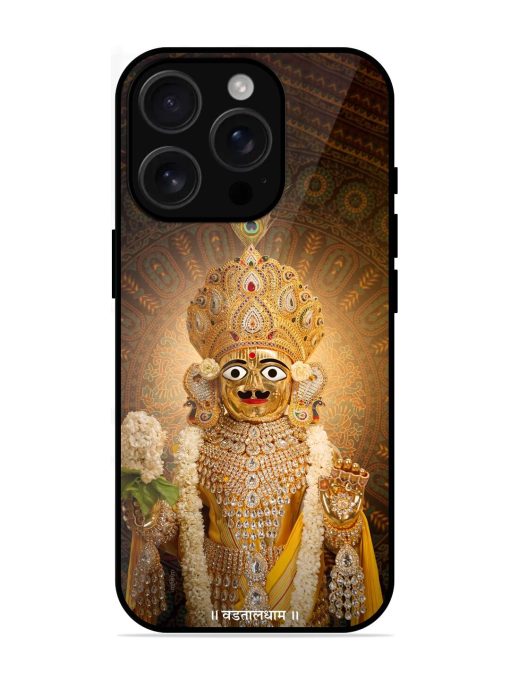 Hare Krishna Maharaj Glossy Soft Edge Case for Apple Iphone 16 Pro Chachhi