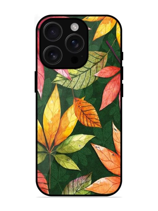 Autumn'S Embrace Glossy Soft Edge Case for Apple Iphone 16 Pro Chachhi