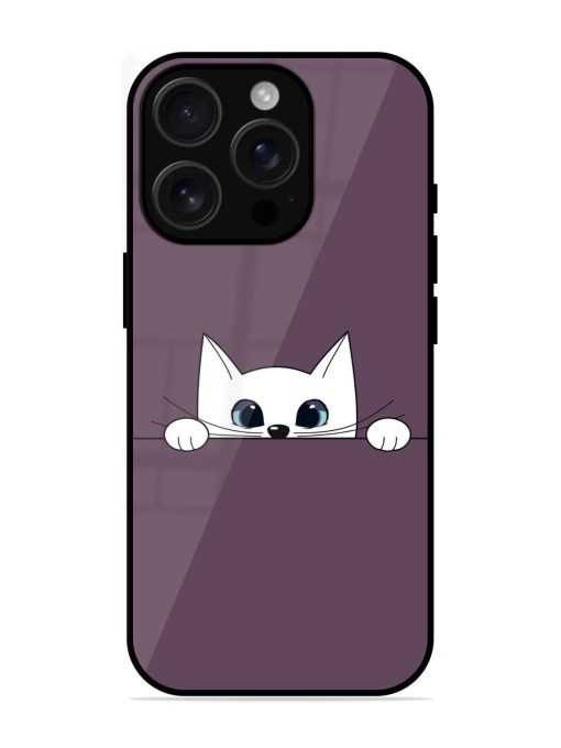 Peek-A-Boo Kitty Glossy Soft Edge Case for Apple Iphone 16 Pro Chachhi