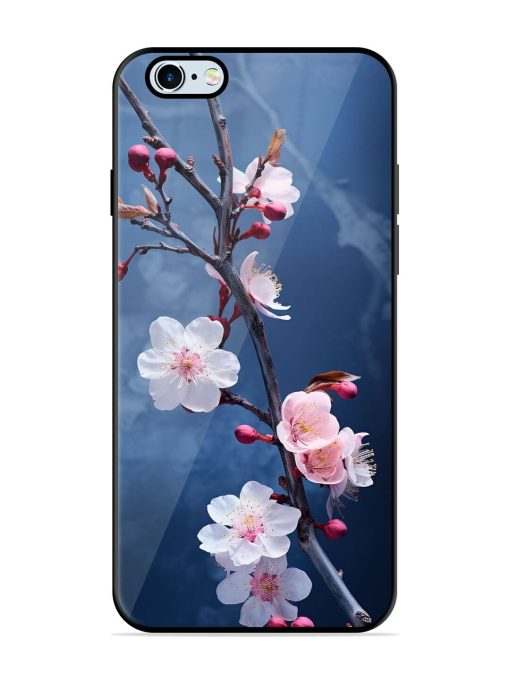 Delicate Blossoms Glossy Soft Edge Case for Apple Iphone 6 Plus Chachhi