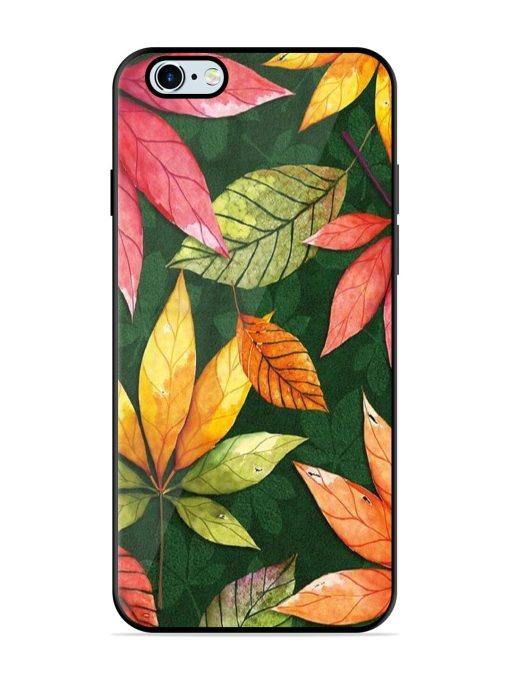 Autumn'S Embrace Glossy Soft Edge Case for Apple Iphone 6 Plus