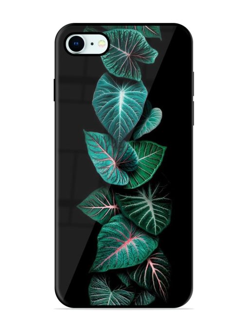 Emerald Elegance Glossy Soft Edge Case for Apple Iphone 8