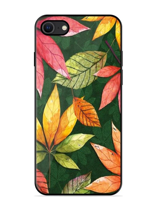 Autumn'S Embrace Glossy Soft Edge Case for Apple Iphone Se (2020) Chachhi