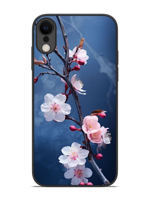 Delicate Blossoms Glossy Soft Edge Case for Apple Iphone Xr Chachhi