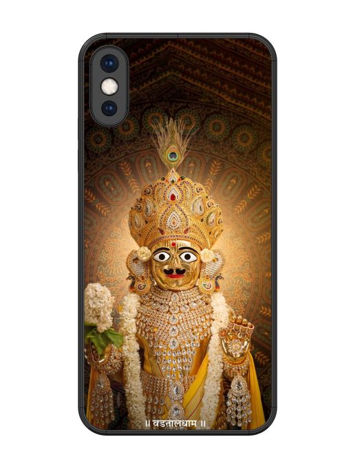 Hare Krishna Maharaj Glossy Soft Edge Case for Apple Iphone Xs Max Chachhi