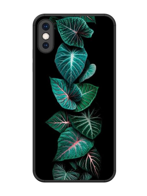 Emerald Elegance Glossy Soft Edge Case for Apple Iphone Xs Max Chachhi