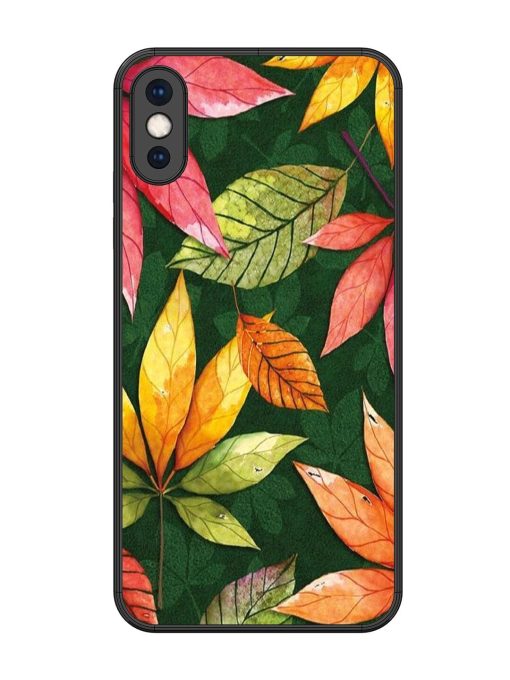 Autumn'S Embrace Glossy Soft Edge Case for Apple Iphone Xs Max Chachhi