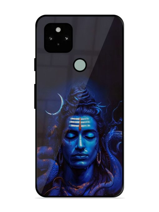 Mystic Mahadev Glossy Soft Edge Case for Google Pixel 5 Chachhi