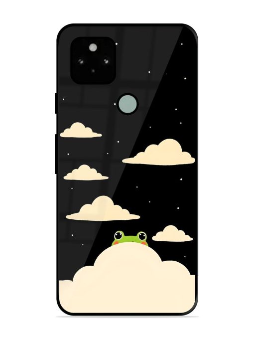 Froggy Night Sky Glossy Soft Edge Case for Google Pixel 5