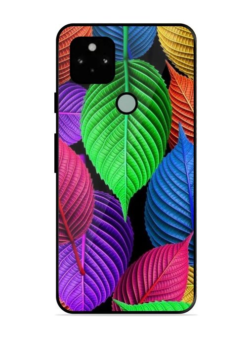 Rainbow Leaf Symphony Glossy Soft Edge Case for Google Pixel 5 Chachhi