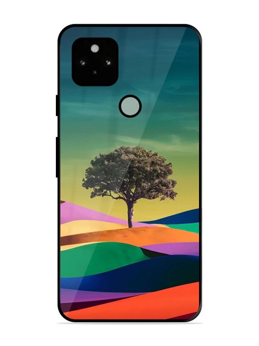 Rainbow'S Lone Sentinel Glossy Soft Edge Case for Google Pixel 5 Chachhi