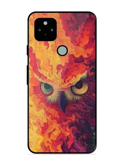 Fiery Owl Glossy Soft Edge Case for Google Pixel 5 Chachhi