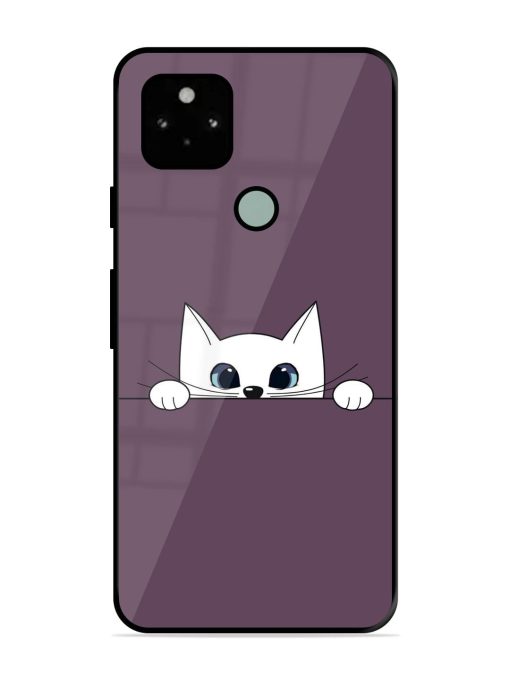 Peek-A-Boo Kitty Glossy Soft Edge Case for Google Pixel 5 Chachhi