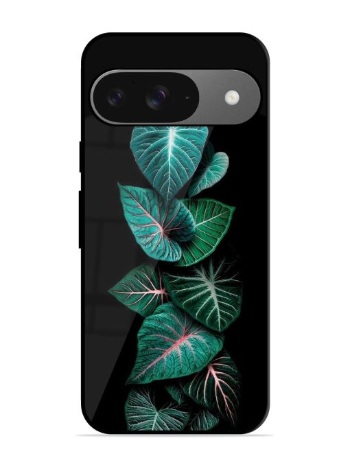 Emerald Elegance Glossy Soft Edge Case for Google Pixel 9 Chachhi