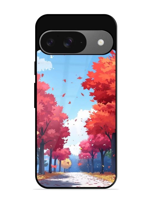 Autumn'S Embrace Glossy Soft Edge Case for Google Pixel 9 Chachhi