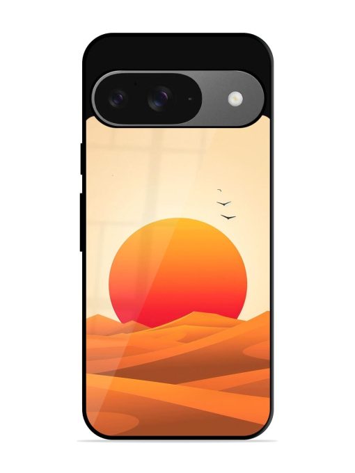 Desert Sunset Glossy Soft Edge Case for Google Pixel 9 Chachhi